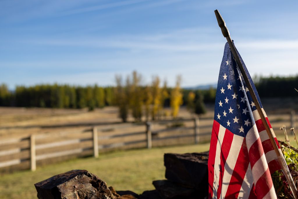699 Glacier-Elk Creek Road, Condon, MT 59826 photo 111