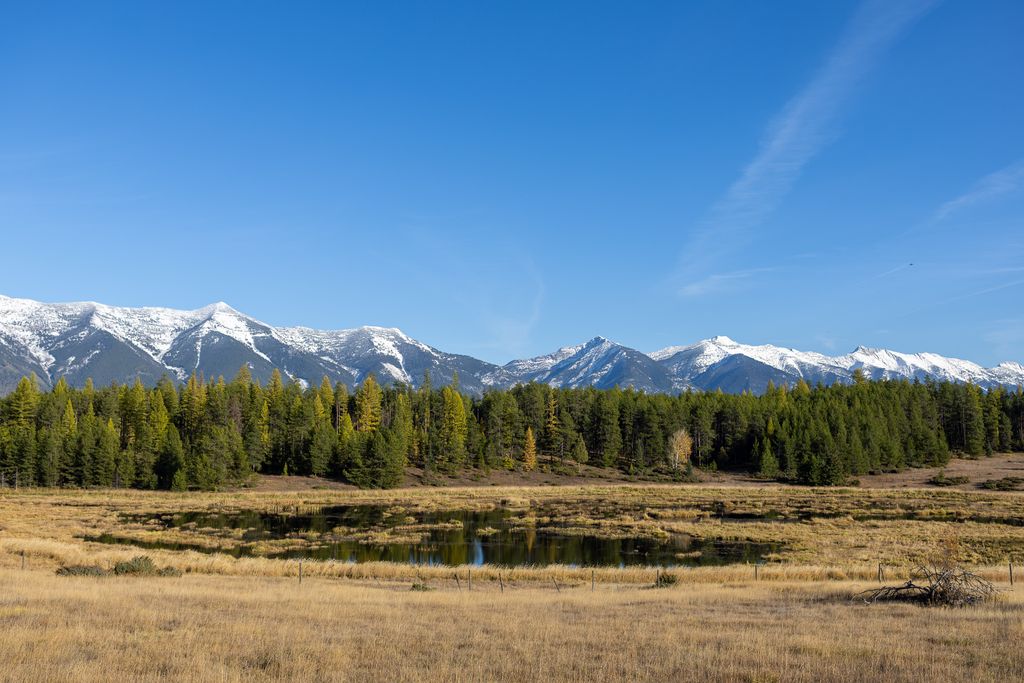 699 Glacier-Elk Creek Road, Condon, MT 59826 photo 112