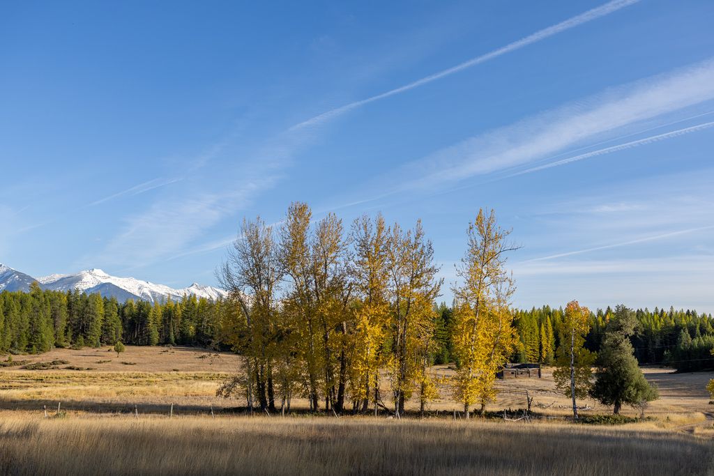 699 Glacier-Elk Creek Road, Condon, MT 59826 photo 114