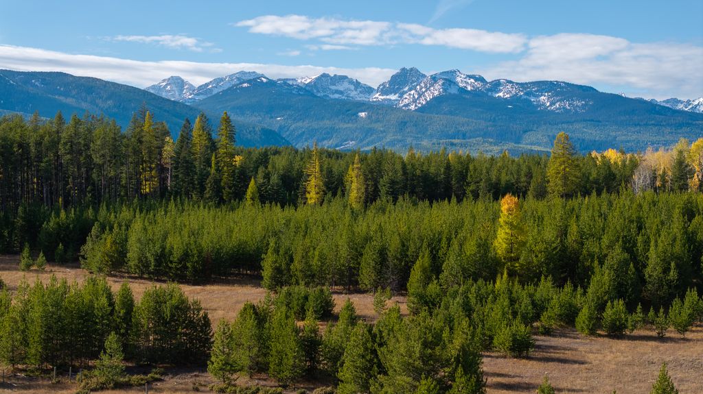 699 Glacier-Elk Creek Road, Condon, MT 59826 photo 125