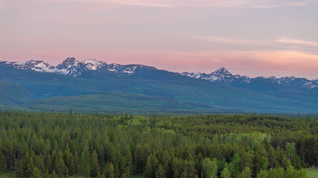 699 Glacier-Elk Creek Road, Condon, MT 59826 photo 128