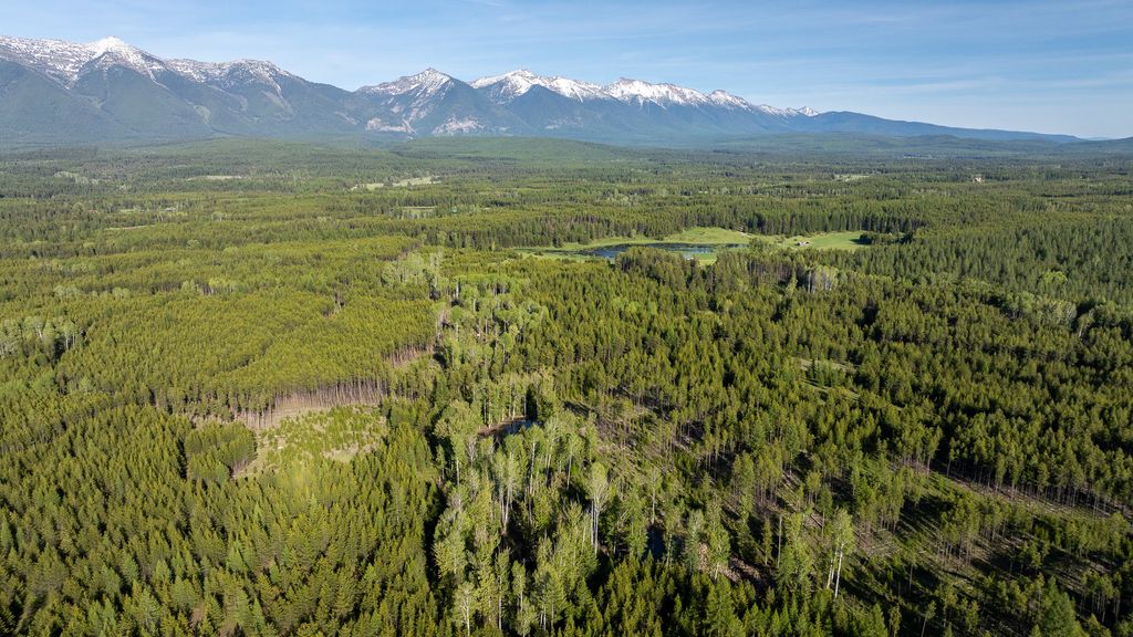 699 Glacier-Elk Creek Road, Condon, MT 59826 photo 13