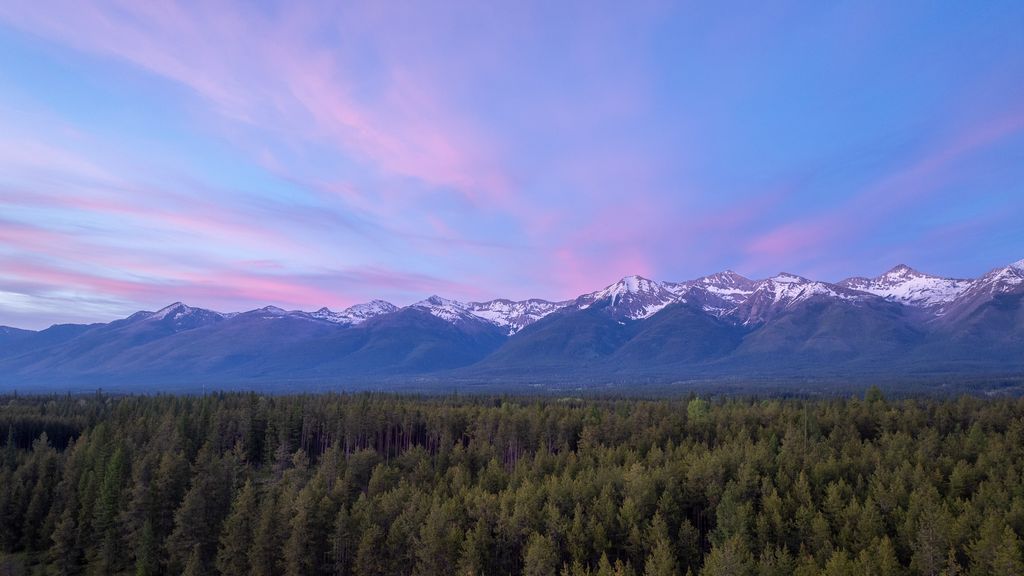 699 Glacier-Elk Creek Road, Condon, MT 59826 photo 130