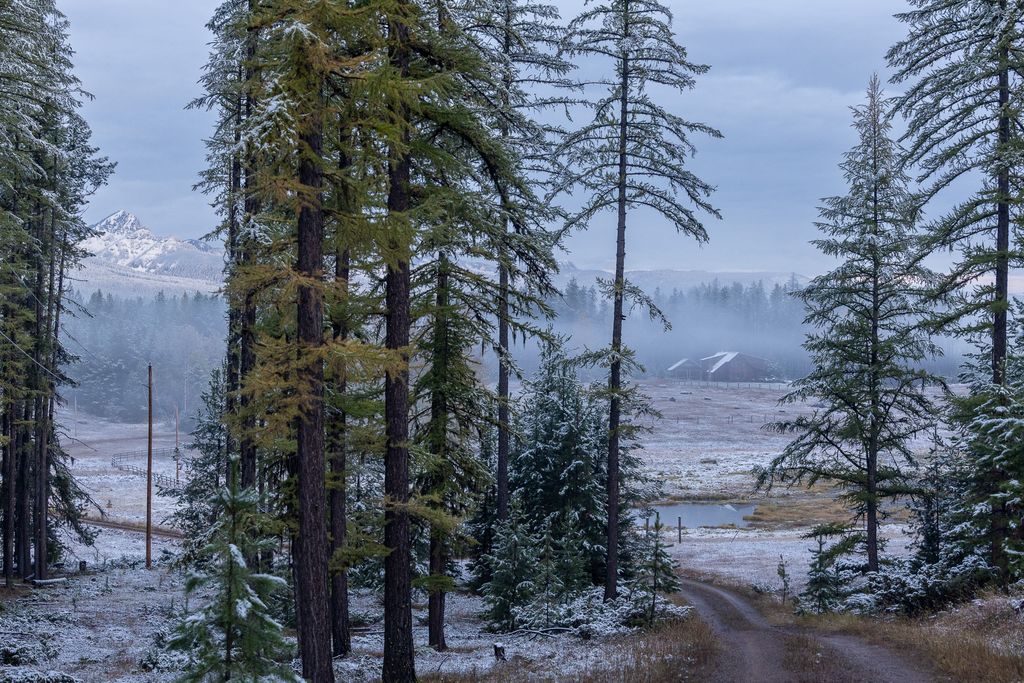 699 Glacier-Elk Creek Road, Condon, MT 59826 photo 133