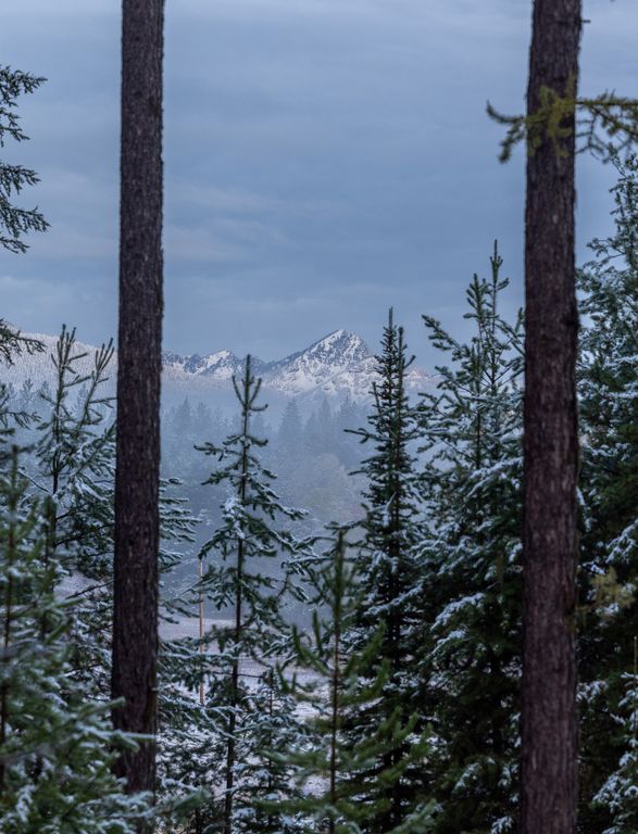 699 Glacier-Elk Creek Road, Condon, MT 59826 photo 134