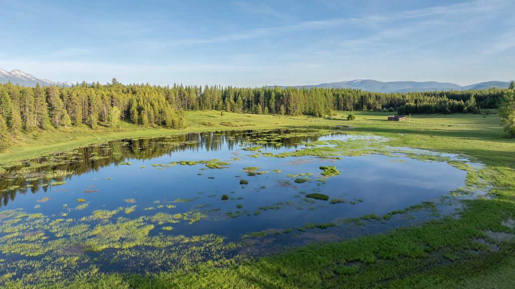 699 Glacier-Elk Creek Road, Condon, MT 59826 photo 14