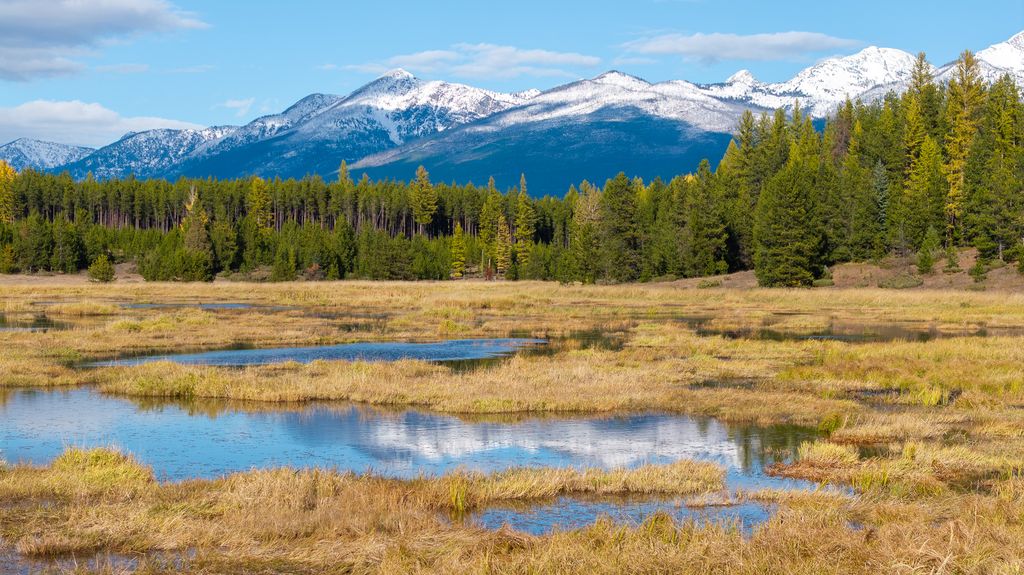 699 Glacier-Elk Creek Road, Condon, MT 59826 photo 15