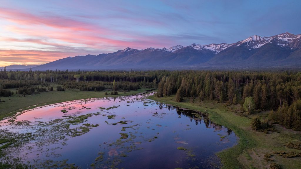 699 Glacier-Elk Creek Road, Condon, MT 59826 photo 3