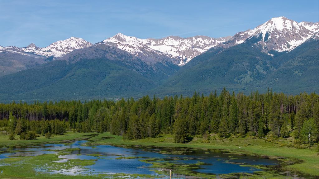 699 Glacier-Elk Creek Road, Condon, MT 59826 photo 5