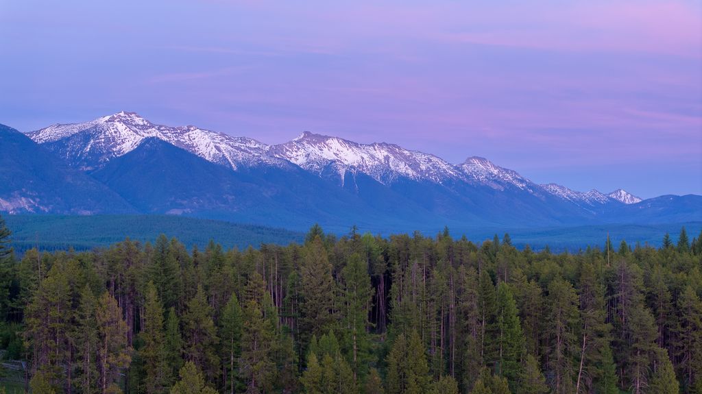 699 Glacier-Elk Creek Road, Condon, MT 59826 photo 59