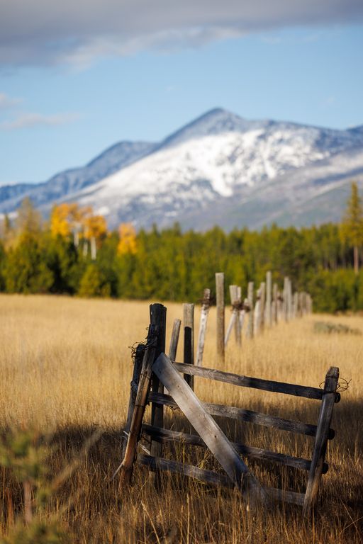 699 Glacier-Elk Creek Road, Condon, MT 59826 photo 63