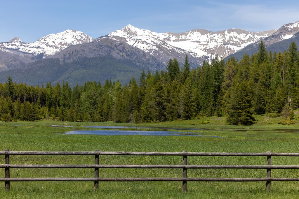 699 Glacier-Elk Creek Road, Condon, MT 59826 photo 65