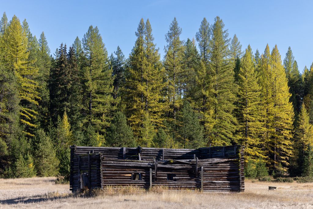 699 Glacier-Elk Creek Road, Condon, MT 59826 photo 68