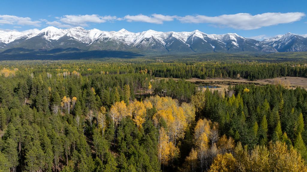 699 Glacier-Elk Creek Road, Condon, MT 59826 photo 7