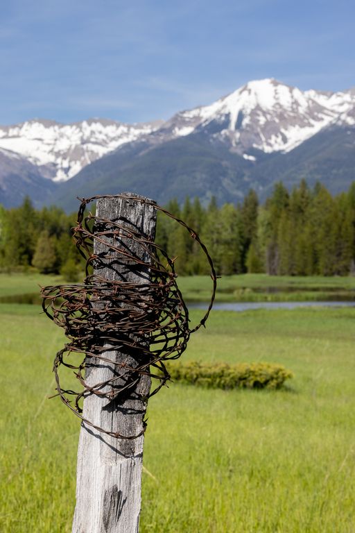 699 Glacier-Elk Creek Road, Condon, MT 59826 photo 70