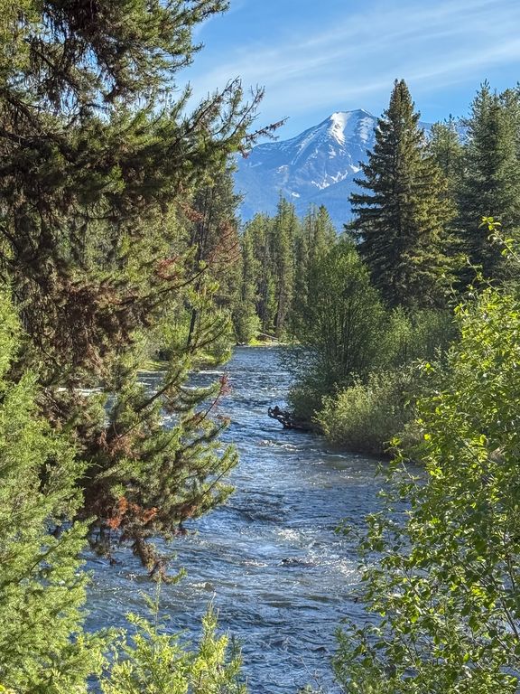 699 Glacier-Elk Creek Road, Condon, MT 59826 photo 71