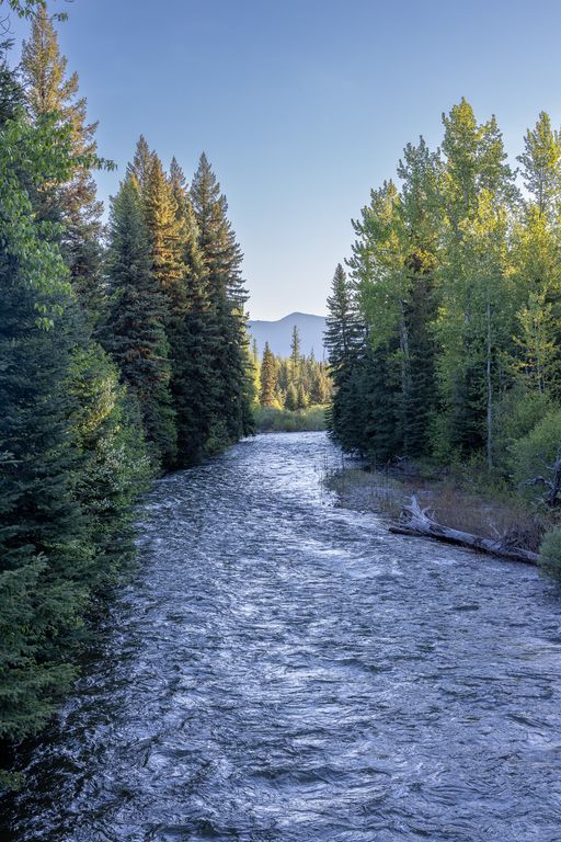699 Glacier-Elk Creek Road, Condon, MT 59826 photo 72