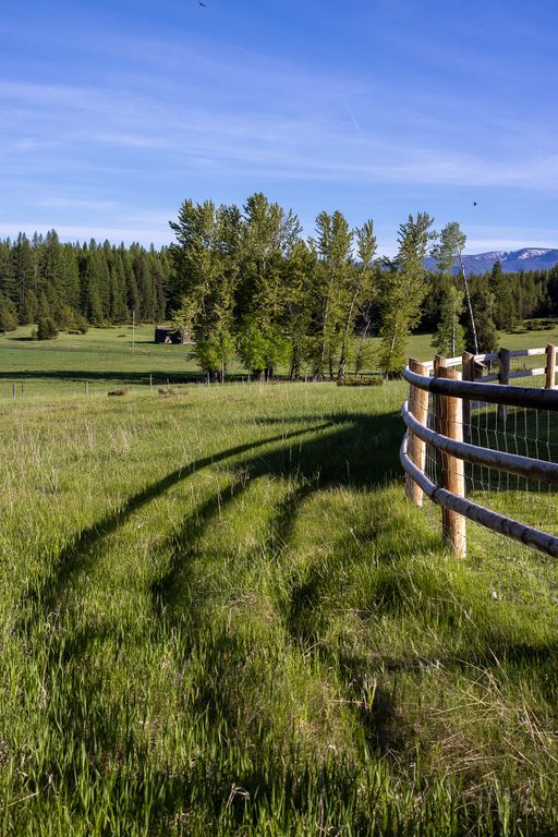 699 Glacier-Elk Creek Road, Condon, MT 59826 photo 88