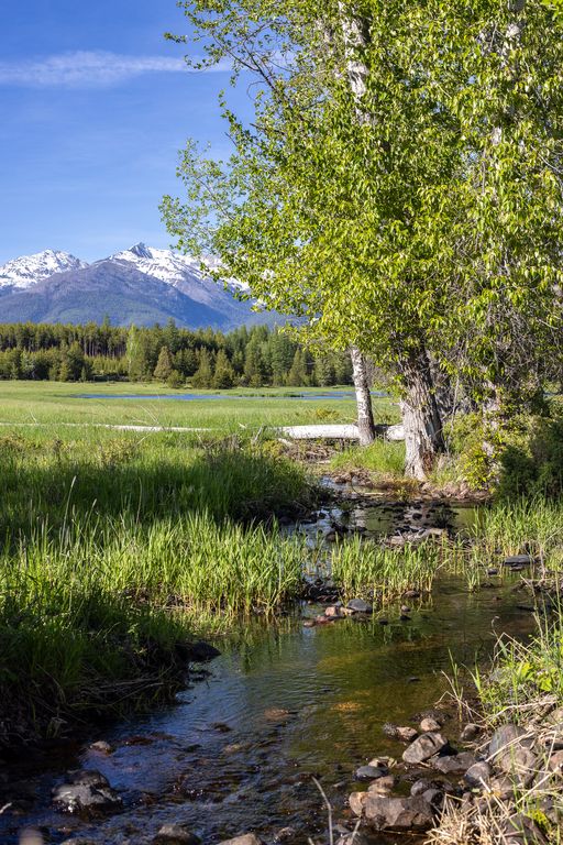 699 Glacier-Elk Creek Road, Condon, MT 59826 photo 90