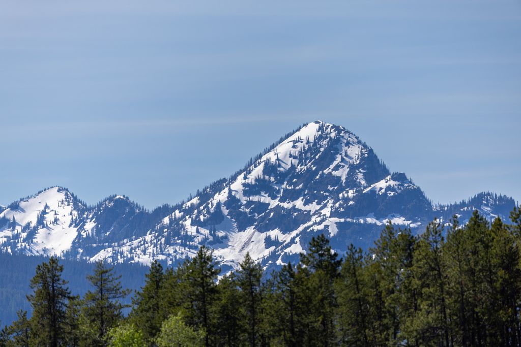 699 Glacier-Elk Creek Road, Condon, MT 59826 photo 92