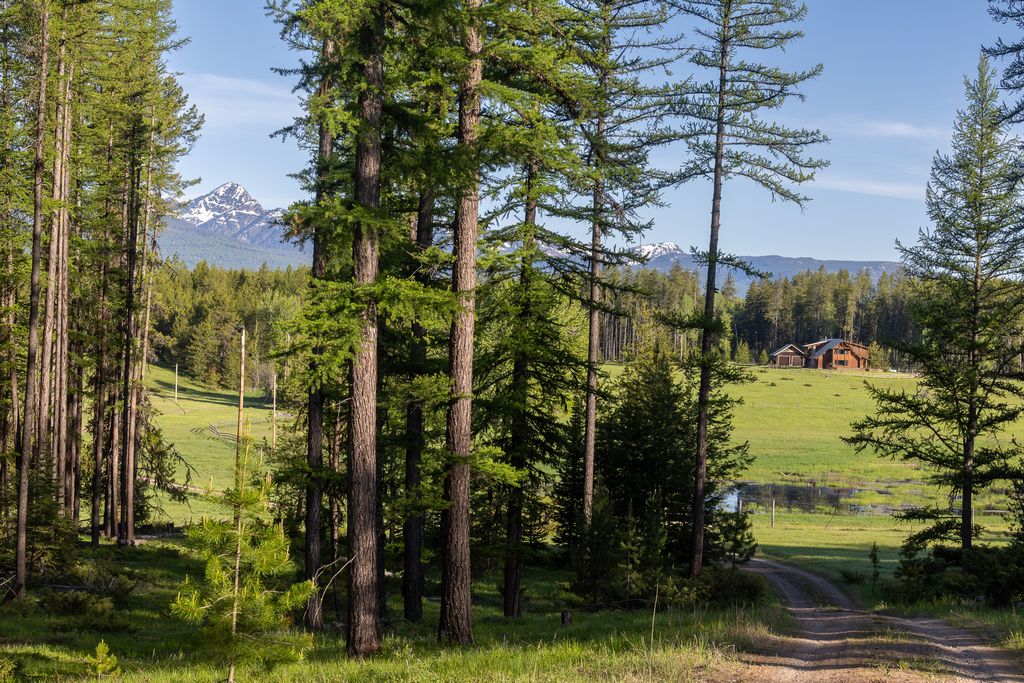 699 Glacier-Elk Creek Road, Condon, MT 59826 photo 95