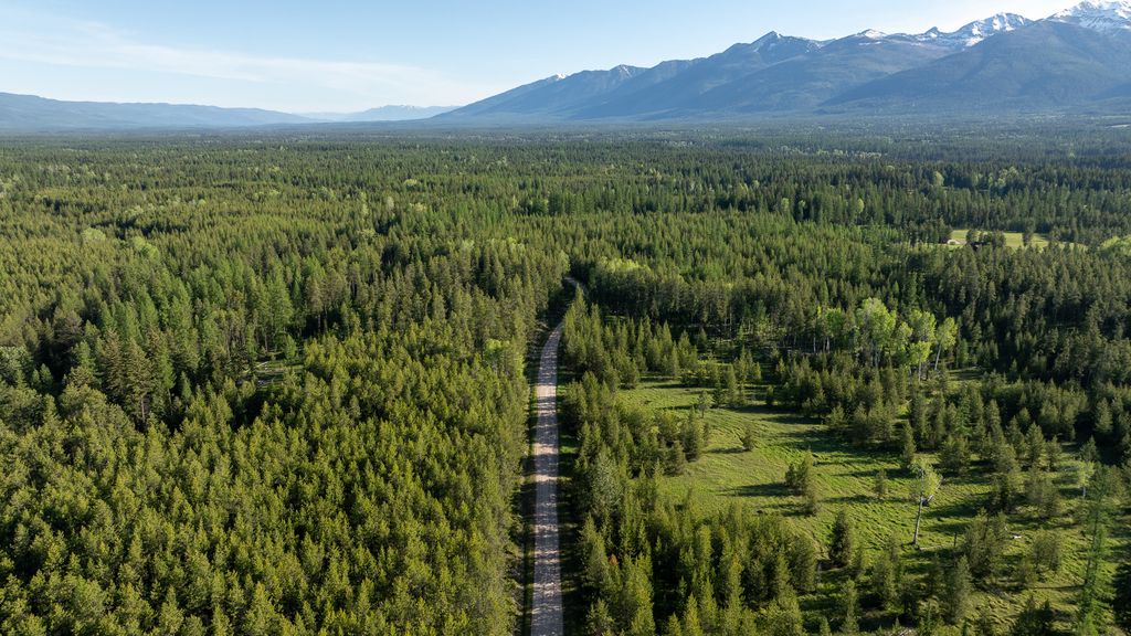 699 Glacier-Elk Creek Road, Condon, MT 59826 photo 96