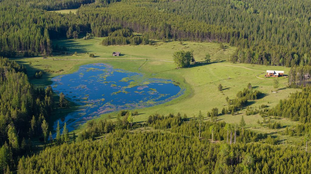 699 Glacier-Elk Creek Road, Condon, MT 59826 photo 97