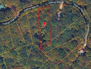0 Cutthroat Ridge, Jasper, GA 30143