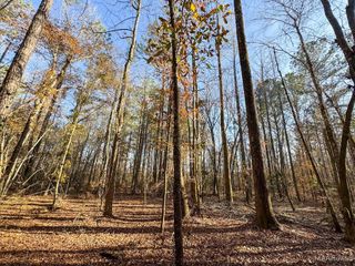 1 Jug Factory Road, Redland, AL 36093