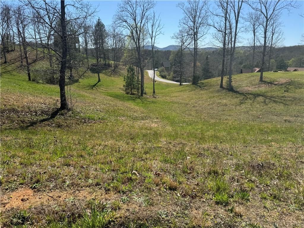 0 Lola Drive, Blairsville, GA 30512
