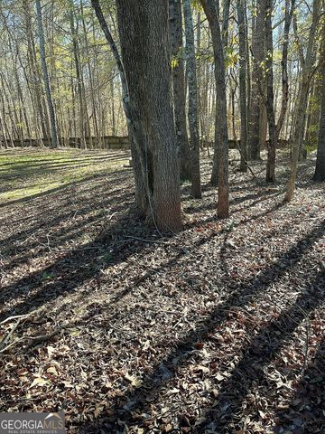 1218 Morgans Run, Monroe, GA 30656