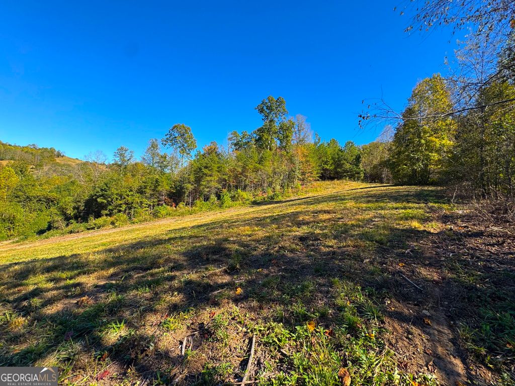 0 River Road, Westminster, SC 29693 — photo 5