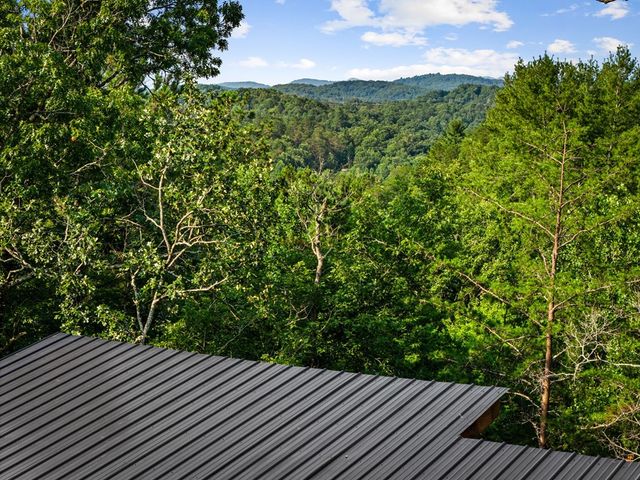 65 Wolf Creek Heights, Mineral Bluff, GA 30559