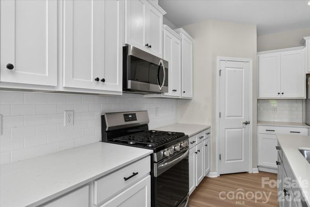 14016 Southbridge Forest Drive, Charlotte, NC 28273