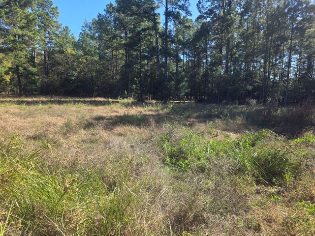 633 Ira Denson Road, Coldspring, TX 77331