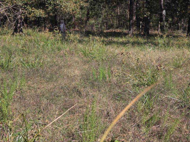 633 Ira Denson Road, Coldspring, TX 77331