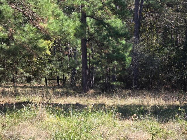 633 Ira Denson Road, Coldspring, TX 77331