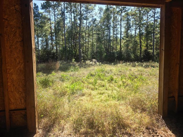 633 Ira Denson Road, Coldspring, TX 77331