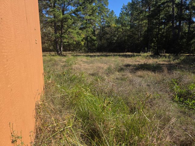 633 Ira Denson Road, Coldspring, TX 77331