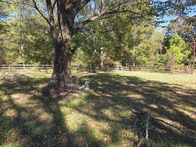 633 Ira Denson Road, Coldspring, TX 77331