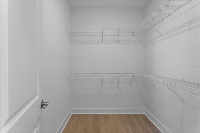 4202 N CLEARFIELD AVENUE, Tampa, FL 33603