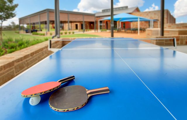 4209 Valley Mills Drive, Heartland, TX 75114