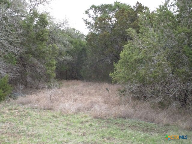 138 Bear Creek Drive, New Braunfels, TX 78132