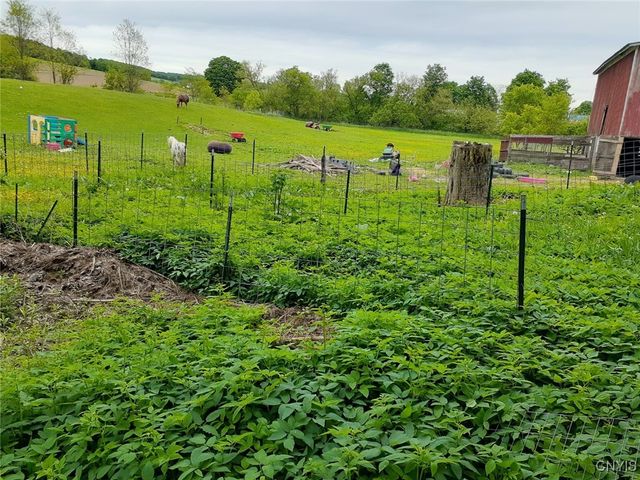 1229 State Route 392, Virgil, NY 13045