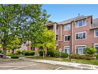 804 Summer Hawk Dr 5207, Longmont, CO 80504