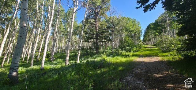 17603 S BEAVER MOUNTAIN CIR C43, Spanish Fork, UT 84660