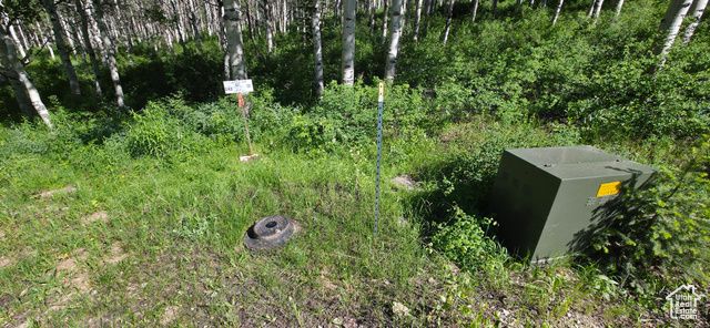 17603 S BEAVER MOUNTAIN CIR C43, Spanish Fork, UT 84660