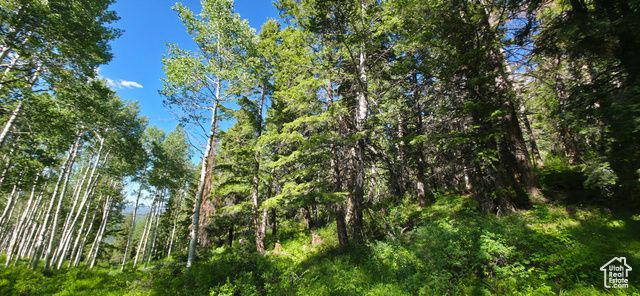 17603 S BEAVER MOUNTAIN CIR C43, Spanish Fork, UT 84660