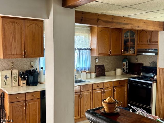 528 Terrace Ave, Hasbrouck Heights Boro, NJ 07604