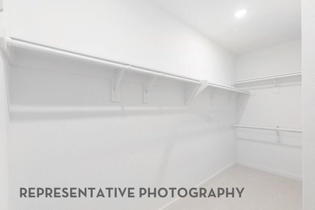 2414 Guava Hills Lane, Manvel, TX 77578